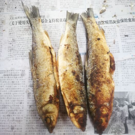 上犹县江西深山溪水淡水无盐干鱼干肉质鲜嫩一件代发