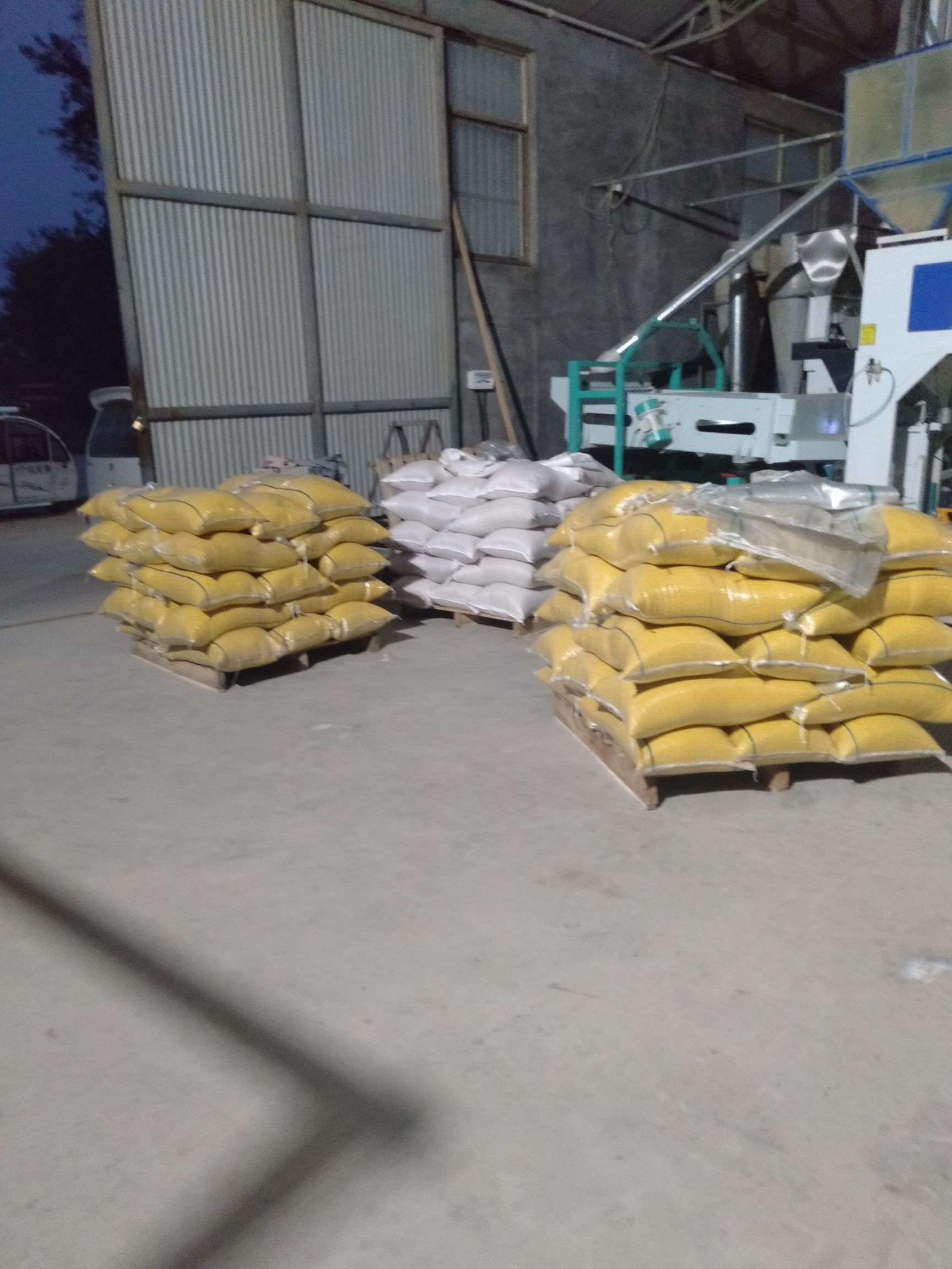  金乡马庙金谷小米   2019年新小米   质量保证