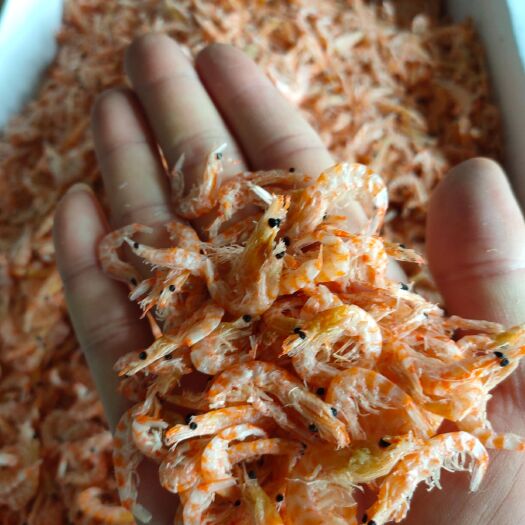 江门磷虾干 6-12个月