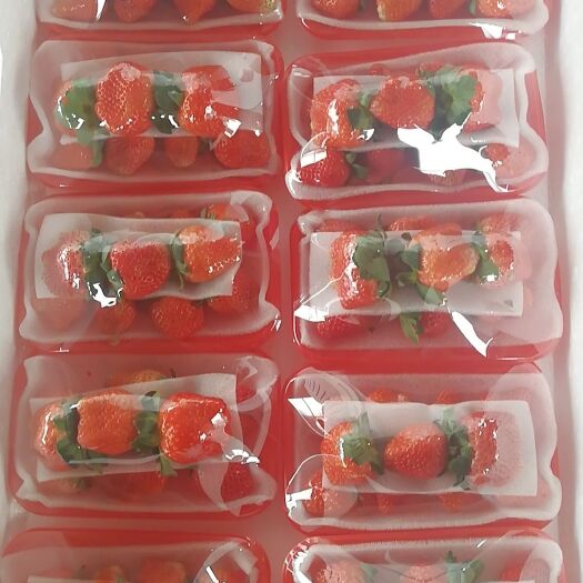 徐州妙香宁玉甜查理 宁玉，宁峰，妙香，甜查理