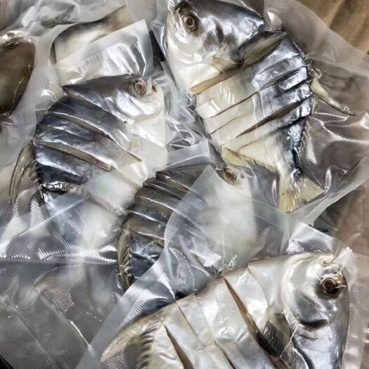 惠州金鲳鱼 一夜呈
品质稳定，请放心大量采购！