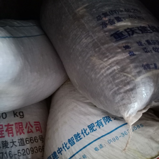华容县 自己家种的湘莲，每年约2000斤左右