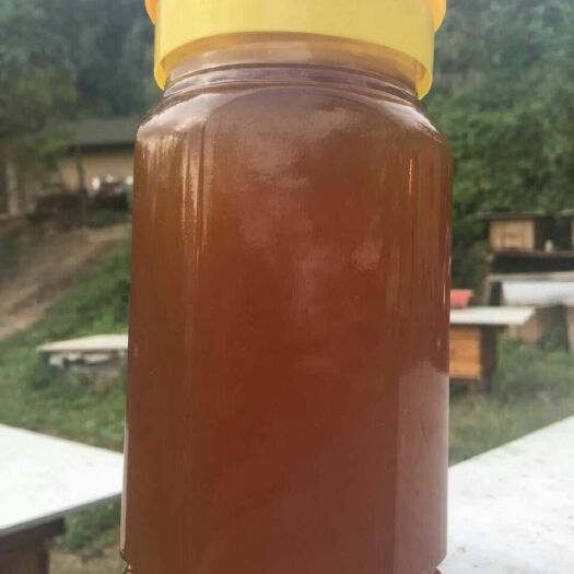 周至县 终南山百草花药土蜂蜜