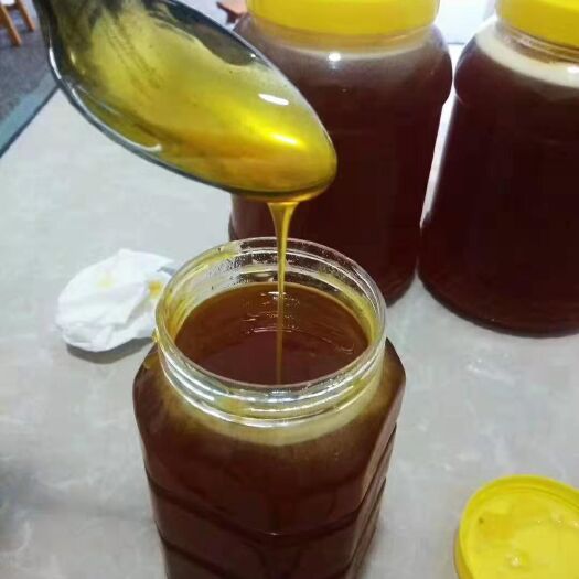 平武县意蜂蜂蜜 来自海拔2000米的百花蜜