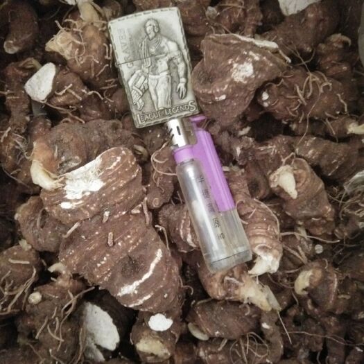 石棉县滇重楼   重楼干货热卖中，个头大，全干，有看上的老板请联系