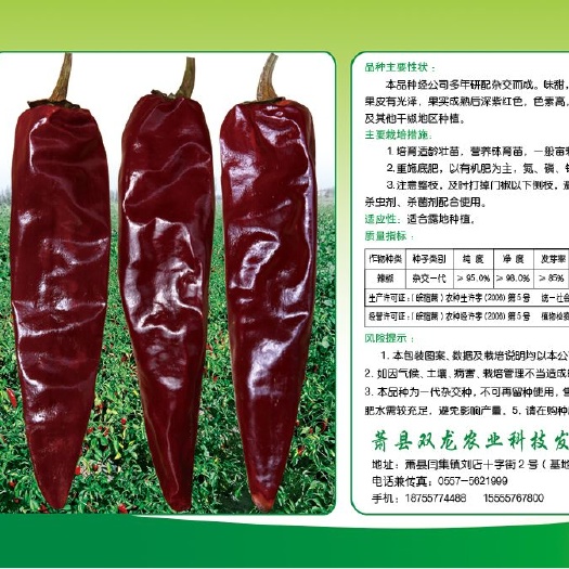 萧县甜椒种子 高色价大板椒