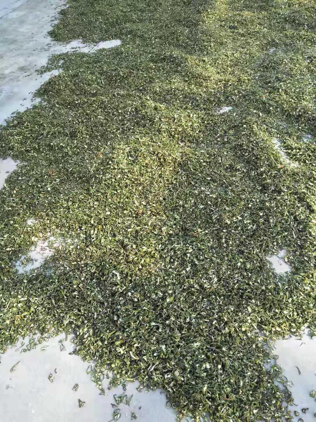  各种脱水蔬菜加工  有需要的老板尽管联系