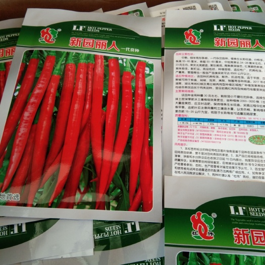 福泉市线椒种子  新园丽人辣椒种子，品质好，青熟果深绿色，红果颜色艳亮，辣味强