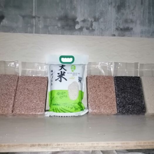 惠水县墨江紫米