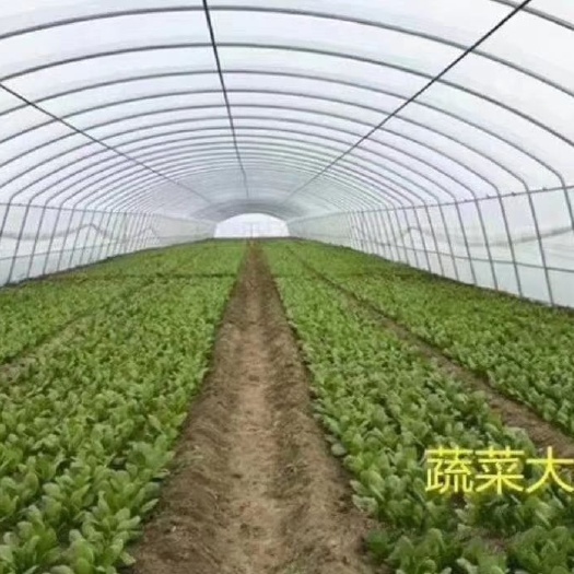沭阳县 蔬菜大棚，骨架，成套棚子，安装技术指导！