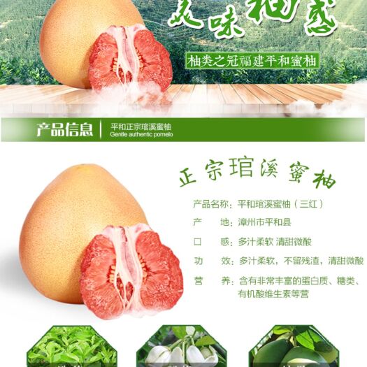 平和琯溪蜜柚  三红蜜柚2粒装