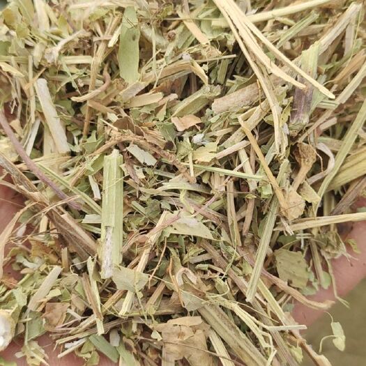汝南县花生秧
