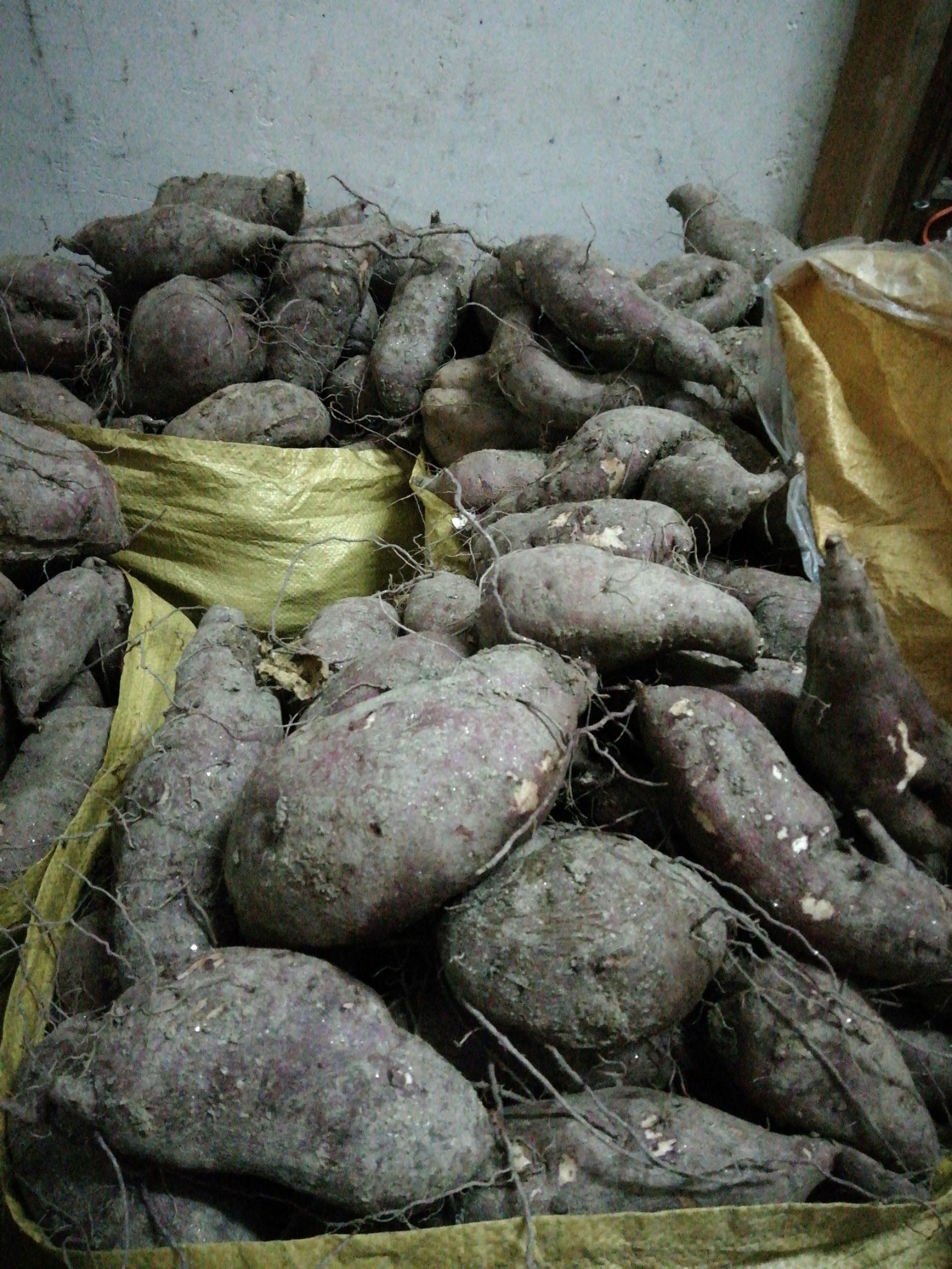 白心红薯 1斤~15斤 紫皮