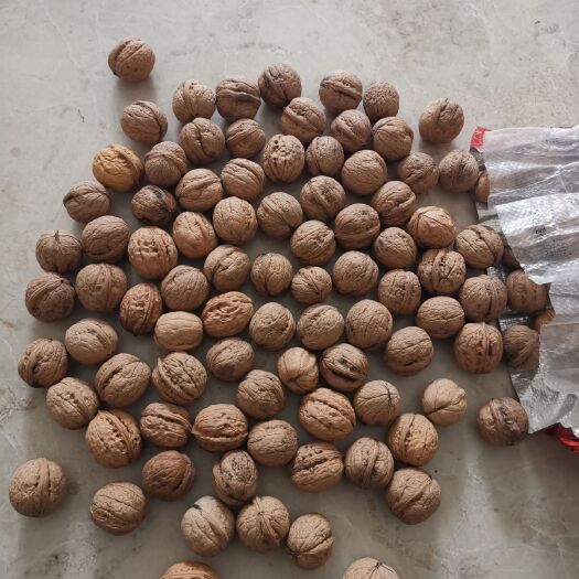 平顺县薄皮核桃 自己家里种的，健康天然