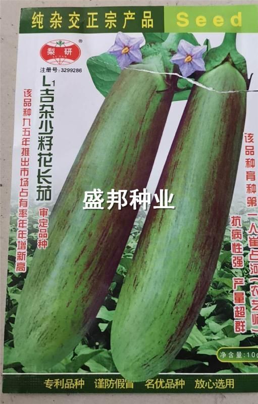 寿光市线茄 引茄苗  青绿皮茄子 灯泡茄 面包茄 嫁接茄子苗
