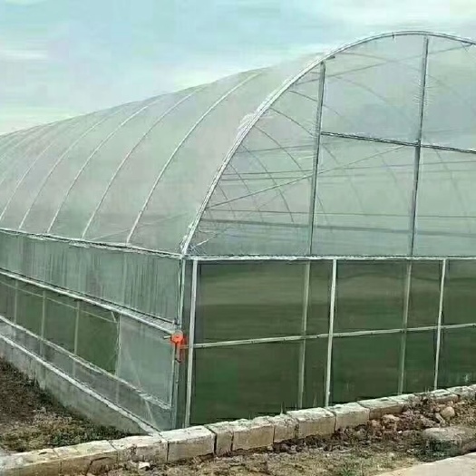 天津蔬菜大棚 养殖业大棚