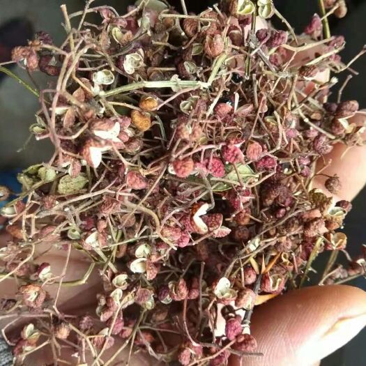 沂源县山东花椒 二级 干花椒