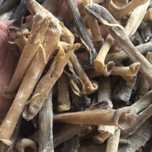 佛山 厚肉原色沙虫干