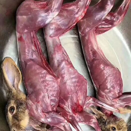 兔肉，新鲜，真空包装，规格2－4斤，全国包邮