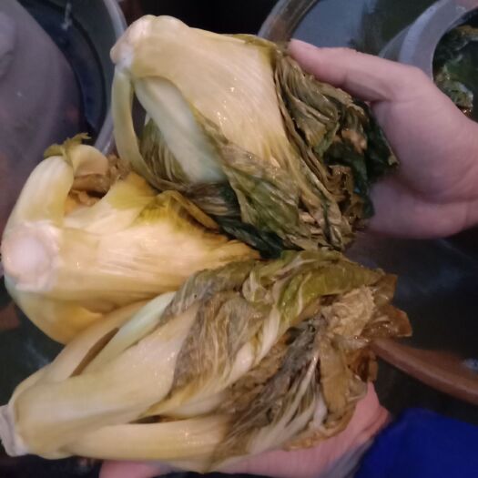 江永县其他酸菜 正宗传统加工老坛酸菜，无盐酸菜！