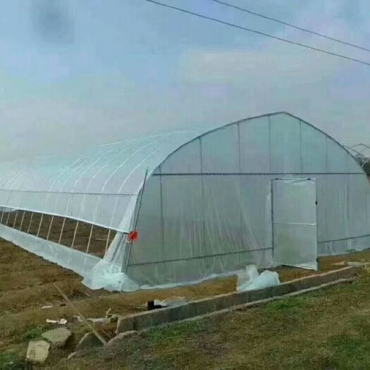 安阳 蔬菜大棚