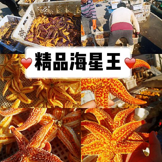 东港市 一手海星4－5个  每箱20斤140批发