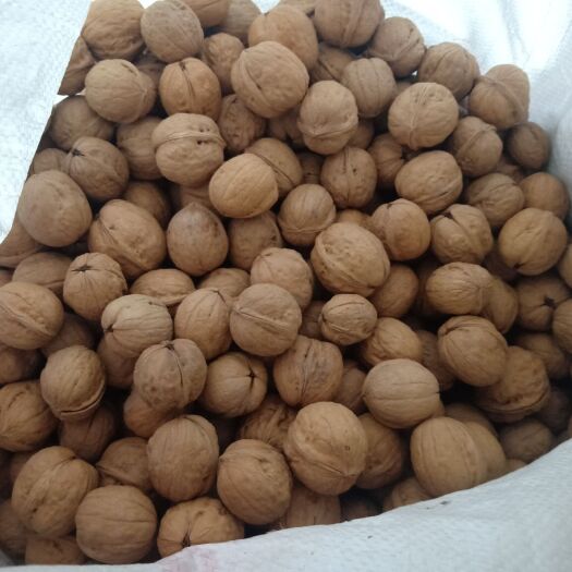 阿克苏市薄皮核桃  自己的核桃，买一送一