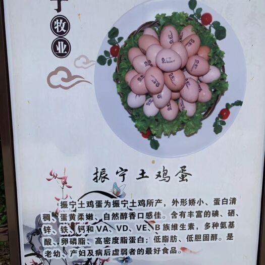 宁海县 振宁土鸡蛋