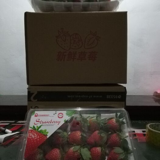 济南甜宝草莓 甜宝莓