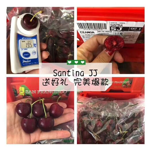 广州 智利车厘子开始，各品种各规格欢迎详询，量大必须好价钱好质量
