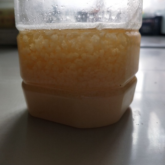 哈尔滨 农户自家酿蜂蜜