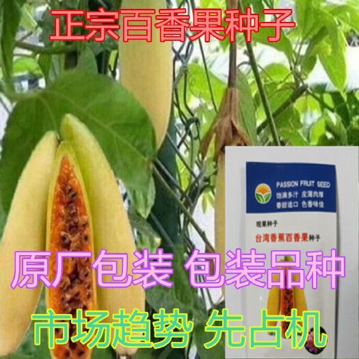  原装200粒香蕉百香果种子荔枝味百香果种子高产水果种子