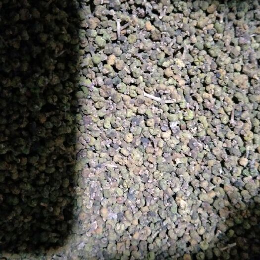 古蔺县吴茱萸 中花统货