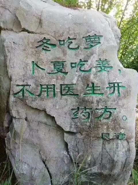 潍坊潍县萝卜整包外售