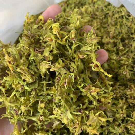 广南县 铁皮石斛花
