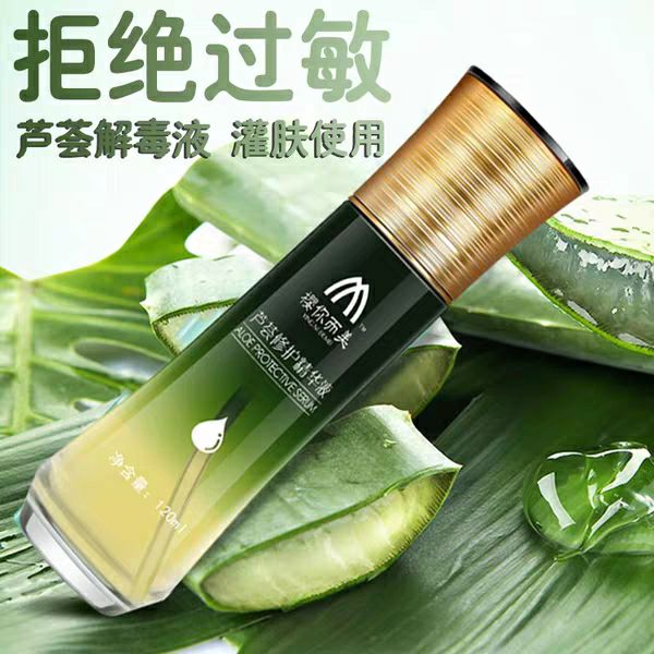 库拉索芦荟二十斤到四十多斤的大棵芦荟，小苗芦荟批发零售