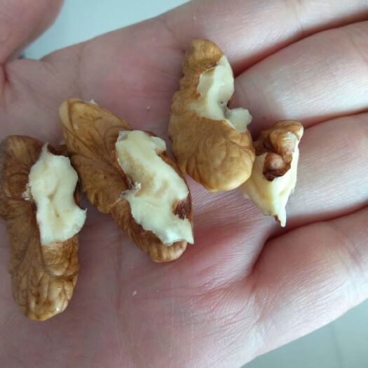 扶风县 青皮核桃