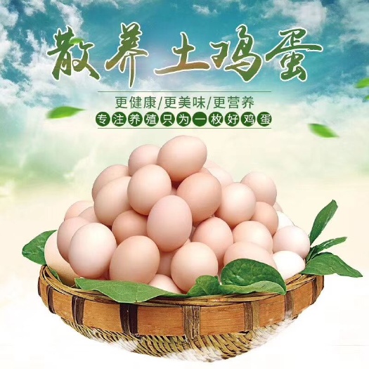 睢宁县 鸡蛋