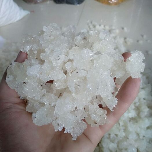 昆明 精品纯白爆米花雪燕