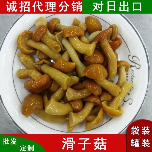 南平 北京煲汤食材新鲜野生滑子菇口感顺滑批发出口质量罐装水煮食用菌