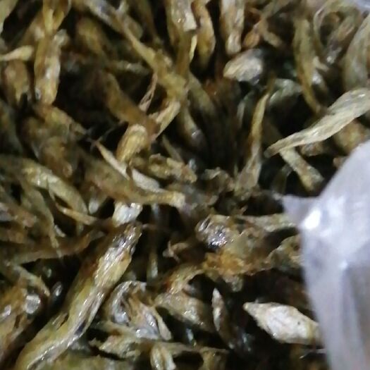 赣州小鱼干 烘烤鱼干不苦不咸干度好，大量供货