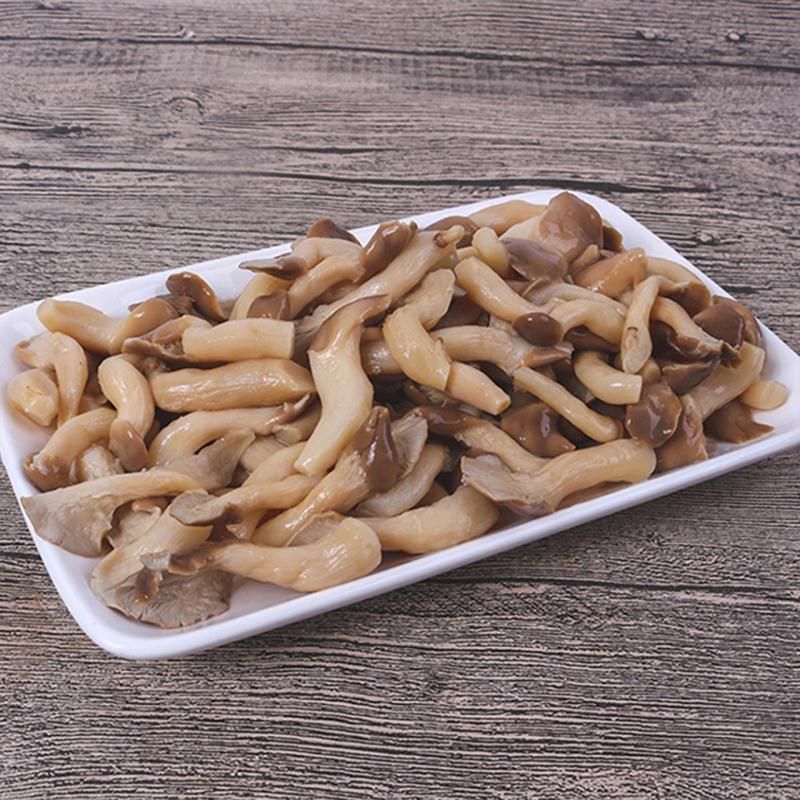  野生袋装新鲜姬菇工厂大量现货水煮平菇诚招分销商野生食用菌