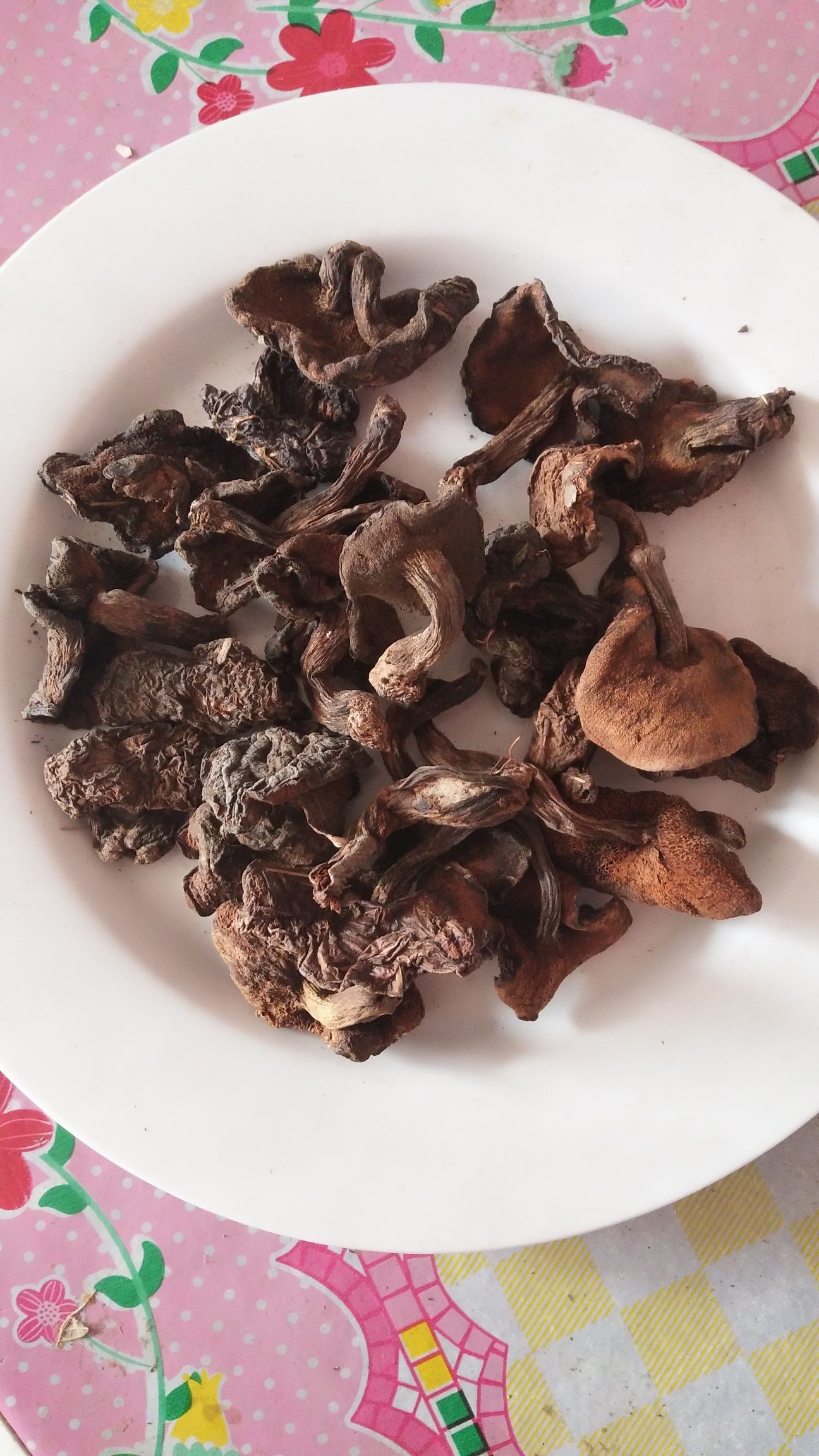  2019新蘑菇，小黑蘑菇中块松蘑干货批发