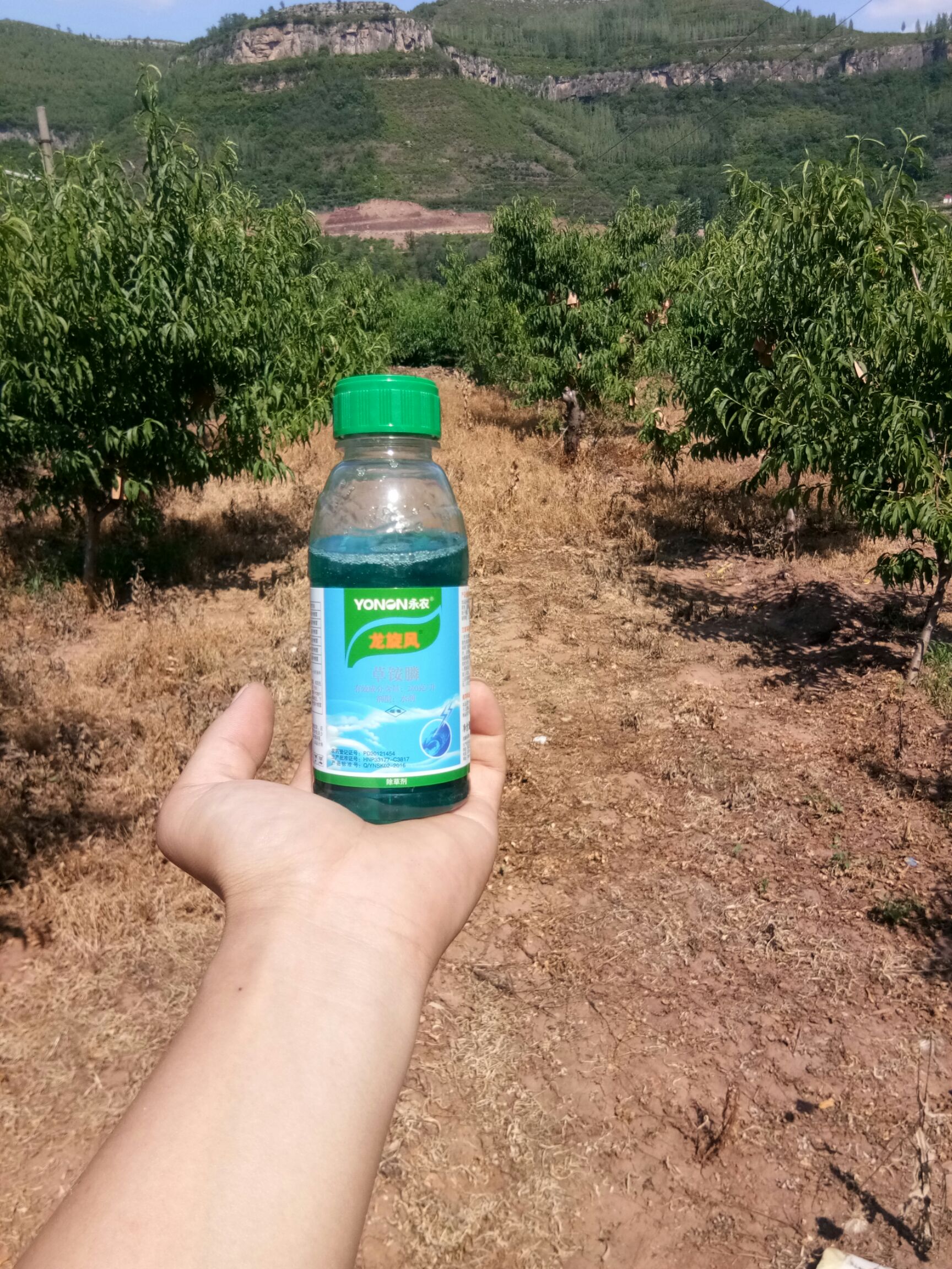 永农金百速龙旋风百速顿10%精草铵膦铵盐除草剂杂草农药批发