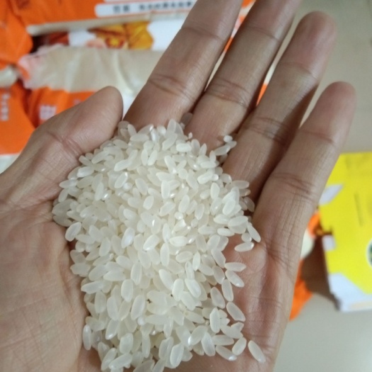 唐山蟹田米 一等品 一季稻 粳米