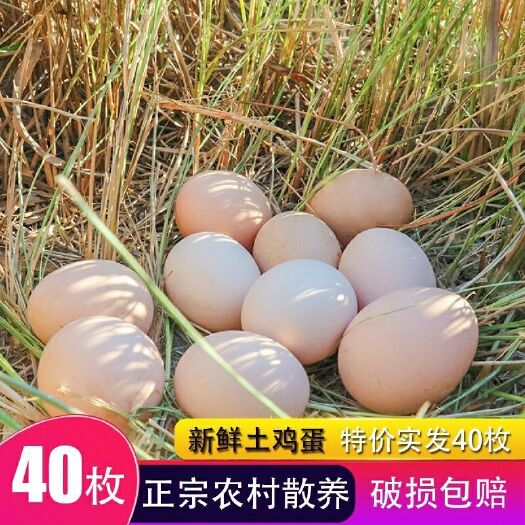 杭州 散养鸡蛋，全国包邮。