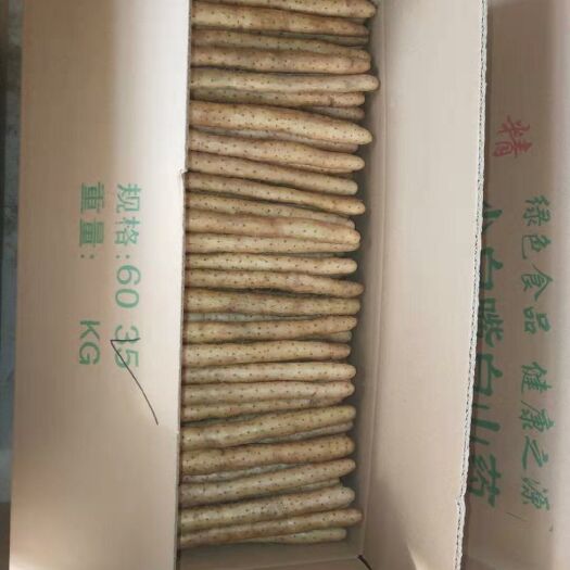 安平县 小白嘴白山药