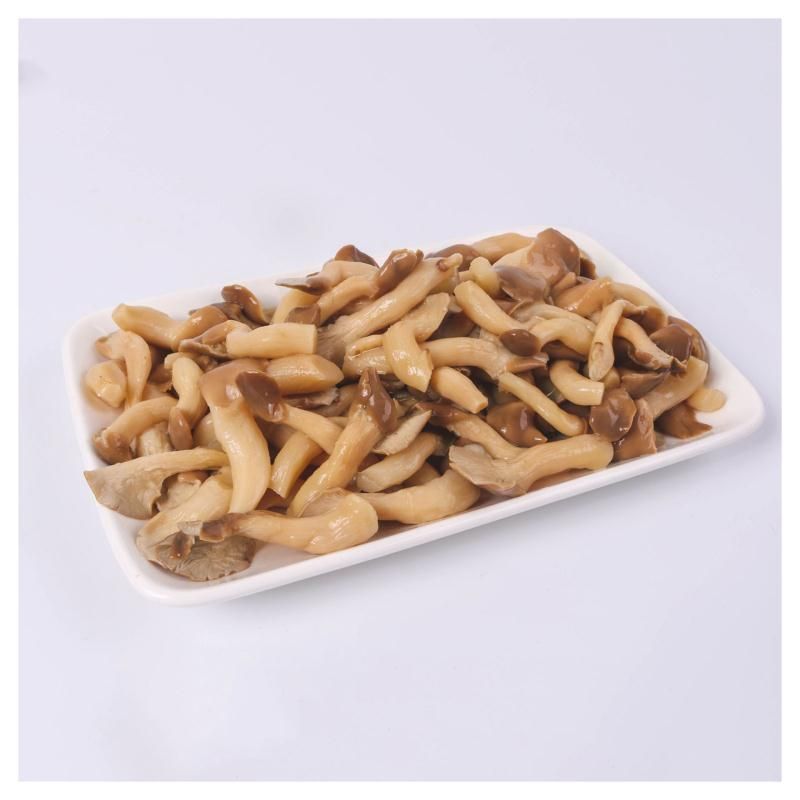  野生袋装新鲜姬菇工厂大量现货水煮平菇诚招分销商野生食用菌