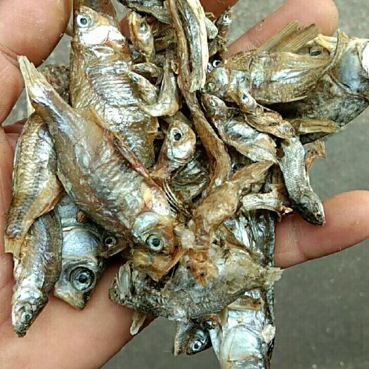 益阳 饲料鱼干