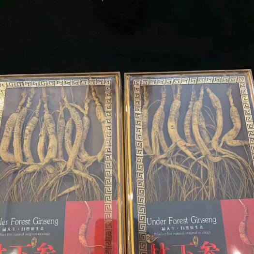 沂南县 林下参